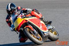 53213276741_4b9fbb8f92_o